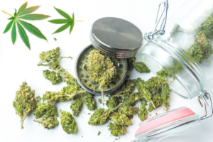 Reclassification of Marijuana Florida