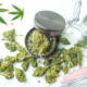 Reclassification of Marijuana Florida