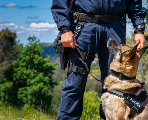 Police Drug Sniffing Dog